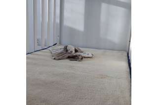 Krybbe Madrass i ull